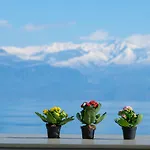 Apartment Hilltop Residences
