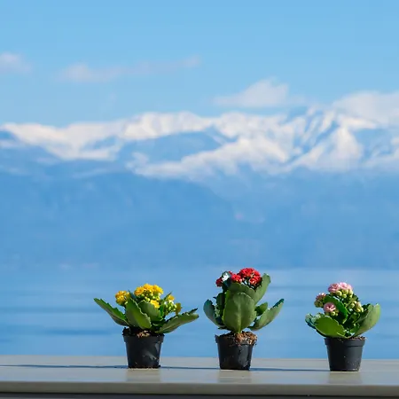 Daire Hilltop Residences