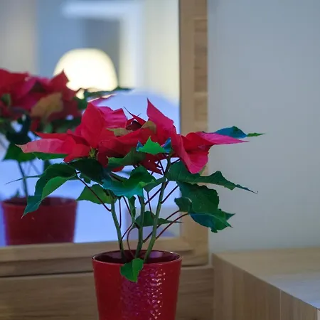 Hilltop Residences 公寓 *