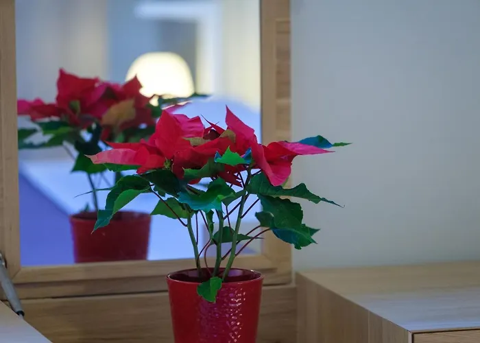 Hilltop Residences Apartamento *